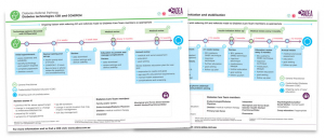 Diabetes Referral Pathways: download the PDFs to always have them at hand when you need them